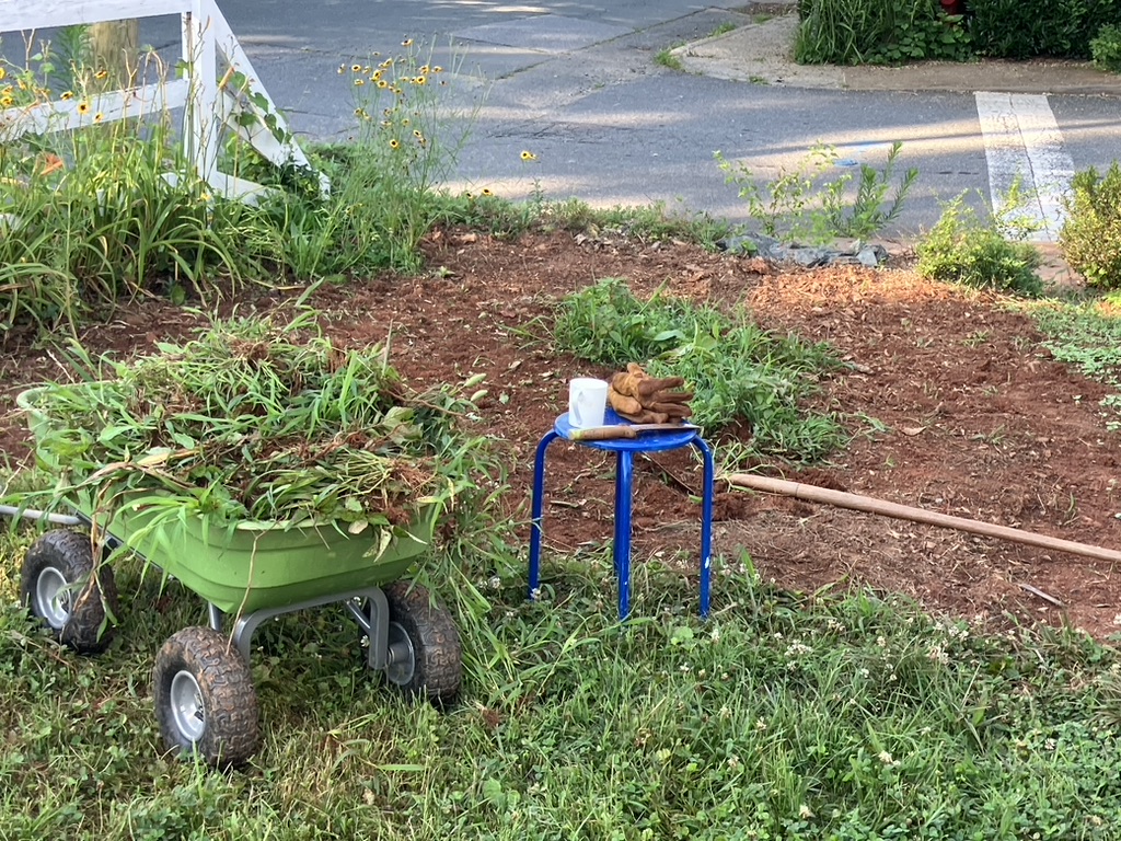 An Early-Morning Garden Victory: How Two Borrowed Tools Made Tough Work Easy