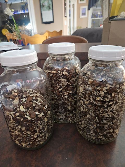 jars of shelled black walnuts